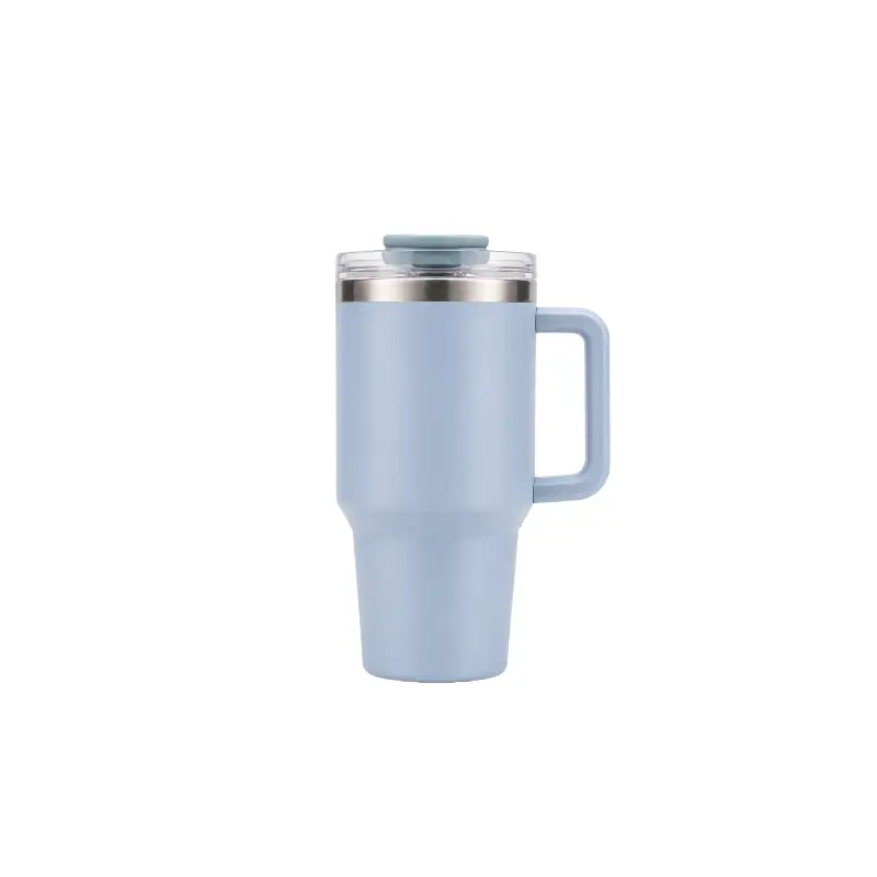 20 oz Insulated Stainless Steel Tumbler with Handle, Leak-Resistant Water Bottle S6002VH
