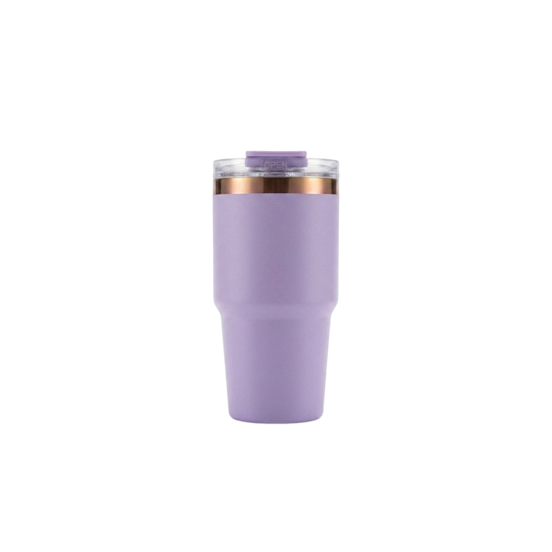 20 oz Insulated Stainless Steel Tumbler with Handle, Leak-Resistant Water Bottle S6006VH